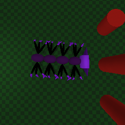 True Double ShadowDawn